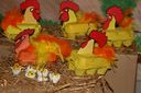 Begona_instituto_077-W800.jpg
