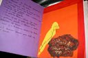 Nombre del archivo=Begona_instituto_111-W800.jpg
Tamaño del archivo=36Kb
Dimensiones=800x533
Fecha añadida=21 de Marzo de 12 Begona_instituto_111-W800.jpg
